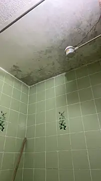 sylphiee  online show from 04/08/26, 11:55