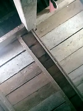 hasaki001 online show from 04/13/26, 08:35