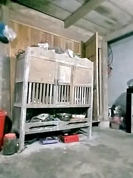 hasaki001 online show from 03/27/26, 10:22