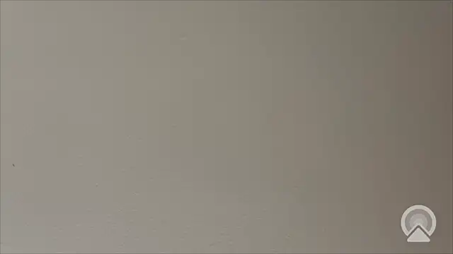 Snapshot of Shynesse21 chatting on 03/26/26, 11:41 Shynesse21 online show from 03/26/26, 11:41