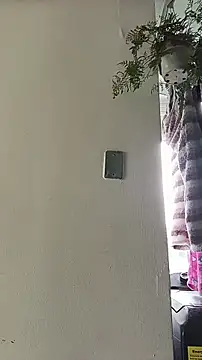 La-venus online show from 04/13/26, 01:59