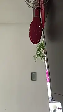 La-venus online show from 03/12/26, 08:35