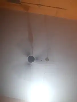 Snapshot of bodymassage455 chatting on 04/01/26, 01:12 bodymassage455 online show from 04/01/26, 01:12