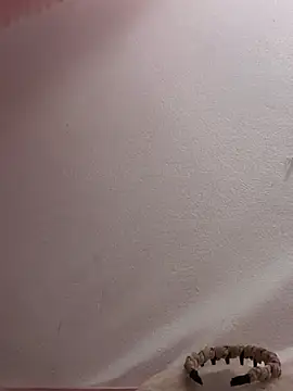 Drieevisexxx online show from 04/17/26, 01:36