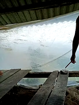 kalara kail online show from 03/25/26, 04:56