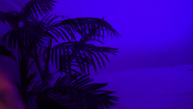 SweeetMila online show from 04/13/26, 04:11