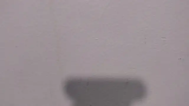 Im MatthewScott online show from 03/31/26, 07:49