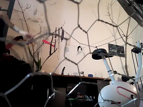 magdadom online show from 03/28/26, 05:47