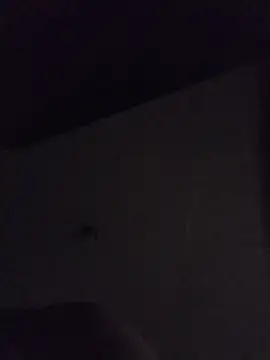 Relk130p online show from 03/22/26, 07:54