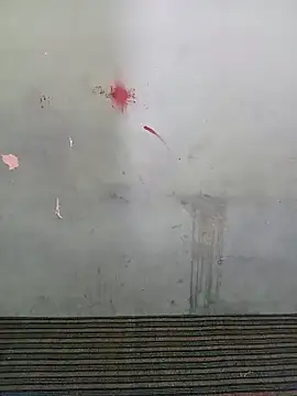 School teacher12 online show from 03/28/26, 06:36