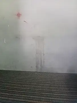 School teacher12 online show from 03/19/26, 08:36