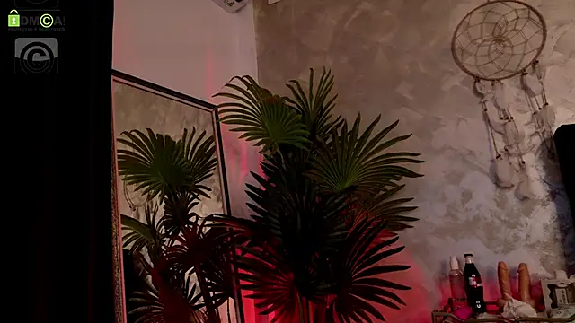 Snapshot of IrisMiley chatting on 04/13/26, 06:45 IrisMiley online show from 04/13/26, 06:45