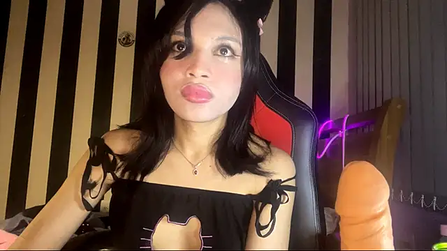 stellapapilon online show from 04/03/26, 11:11