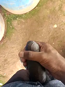 Snapshot of sanju_5418 chatting on 03/17/26, 05:10 sanju 5418 online show from 03/17/26, 05:10