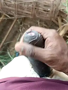 Snapshot of sanju_5418 chatting on 04/11/26, 06:21 sanju 5418 online show from 04/11/26, 06:21