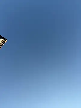 dracogotti online show from 03/21/26, 10:35