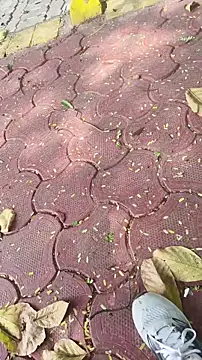 xyz 2giT online show from 03/20/26, 04:57