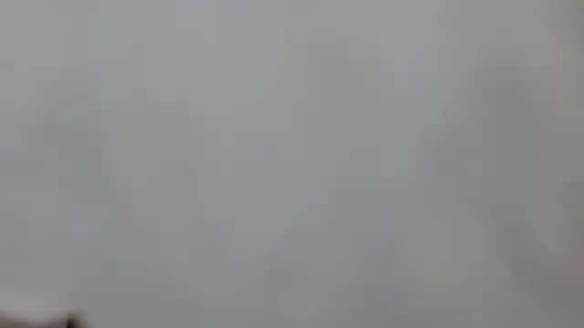 Snapshot of sweet_afparty chatting on 04/15/26, 06:56 sweet afparty online show from 04/15/26, 06:56