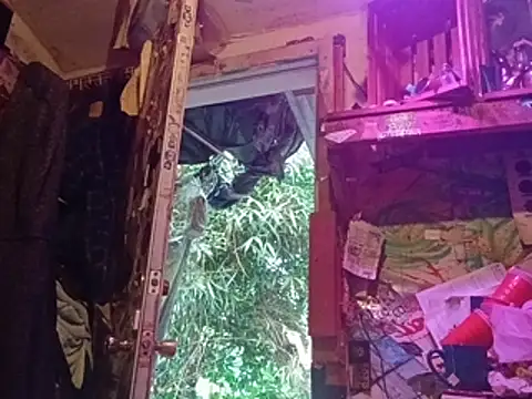 nearby causual online show from 06/24/26, 04:27