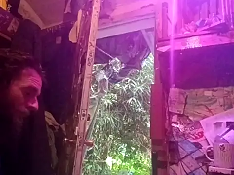nearby causual online show from 07/01/26, 01:28