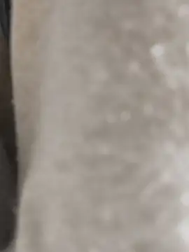 Snapshot of Enmy_24 chatting on 03/17/26, 04:15 Enmy 24 online show from 03/17/26, 04:15