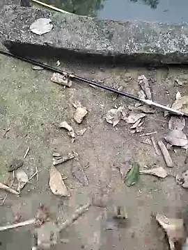 Snapshot of Luuthanh08 chatting on 03/21/26, 09:36 Luuthanh08 online show from 03/21/26, 09:36