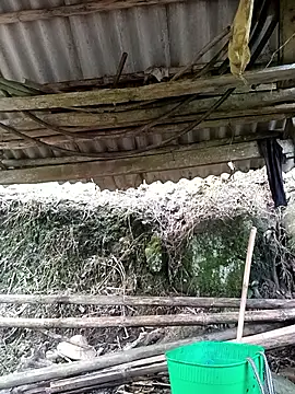 Snapshot of NIANIAKUTE chatting on 03/27/26, 08:48 NIANIAKUTE online show from 03/27/26, 08:48