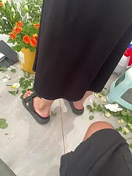 haotian8898 online show from 07/25/26, 05:37