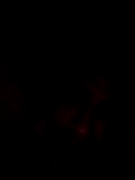 onliveme69 online show from 04/08/26, 07:54