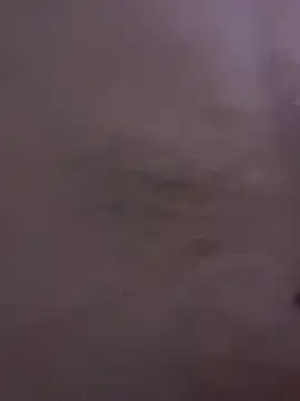 rummndo online show from 04/06/26, 04:08