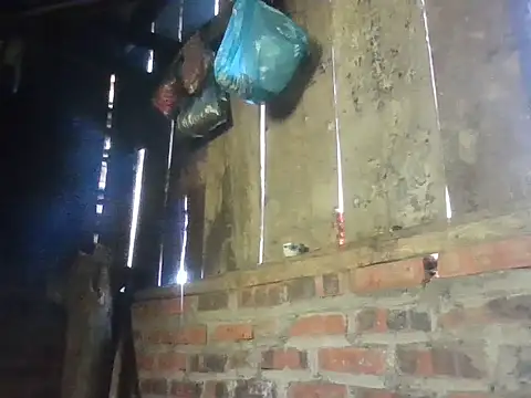 Snapshot of Huemy098 chatting on 04/12/26, 02:48 Huemy098 online show from 04/12/26, 02:48