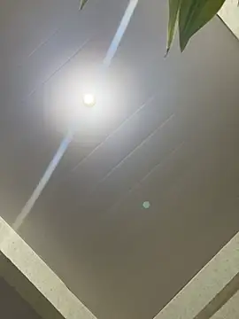 Urcutiepiebaby online show from 04/08/26, 05:20