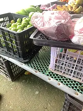 tieuvy6 online show from 03/24/26, 07:41