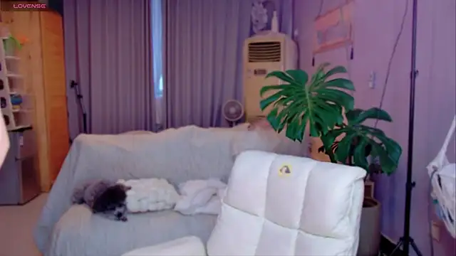 JaeHartMorn online show from 03/31/26, 09:55