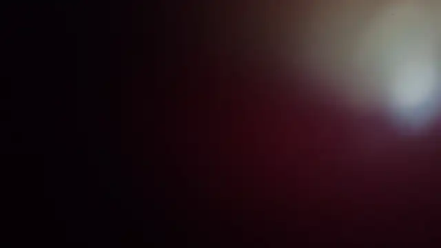 leilei998 online show from 04/01/26, 11:11