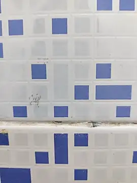 diljaan51 online show from 03/24/26, 11:05