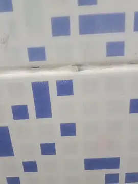 diljaan51 online show from 03/24/26, 02:00