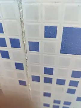 diljaan51 online show from 03/28/26, 02:12