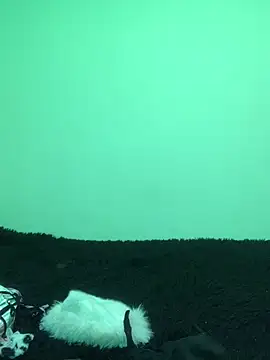 Snapshot of -Jack_Zoe- chatting on 04/14/26, 12:54 -Jack Zoe- online show from 04/14/26, 12:54