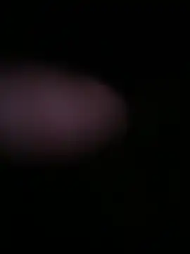 globalfucker34 online show from 03/22/26, 08:32