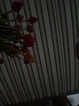 savageebny online show from 05/04/26, 07:17