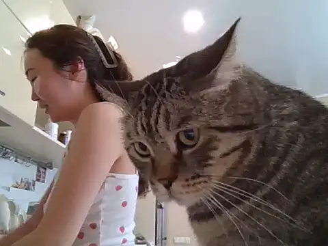 AsianJade1 online show from 03/24/26, 11:54