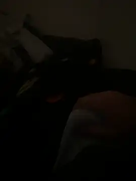 yassineamri online show from 03/28/26, 01:23