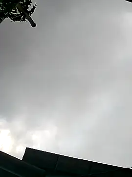 Snapshot of Cute-flowers chatting on 03/21/26, 02:35 Cute-flowers online show from 03/21/26, 02:35