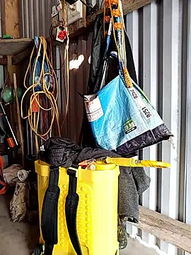 Snapshot of Cute-flowers chatting on 04/13/26, 12:36 Cute-flowers online show from 04/13/26, 12:36