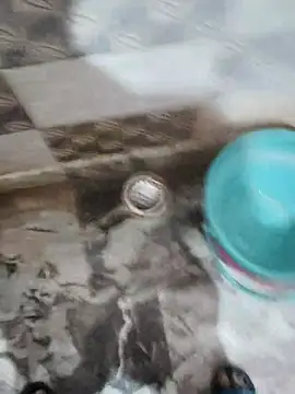 Atokxon online show from 04/12/26, 07:06