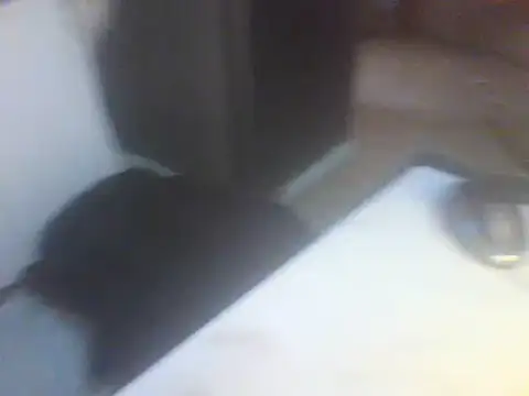 Snapshot of Likhona02 chatting on 04/02/26, 07:48 Likhona02 online show from 04/02/26, 07:48