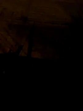 Snapshot of tuchokolatit0 chatting on 04/01/26, 03:52 tuchokolatit0 online show from 04/01/26, 03:52