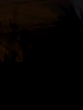 Snapshot of tuchokolatit0 chatting on 04/07/26, 03:41 tuchokolatit0 online show from 04/07/26, 03:41