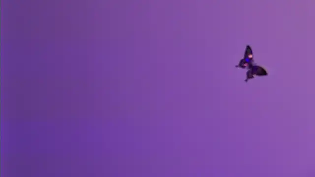 AmelieReeaa online show from 04/18/26, 04:09